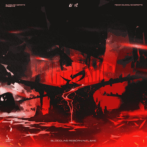 PROJECT : REBIRTH for BloodlineX Esports